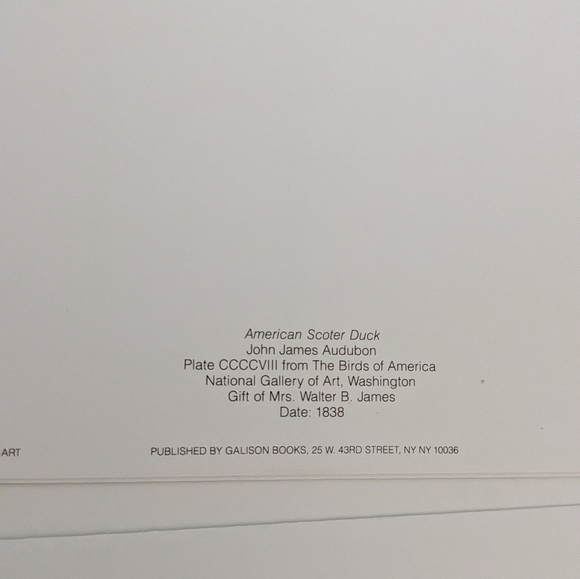 Audubon's Ducks Boxed Set Of Blank Note cards 5x7 Natl Gallery Of Art Set Of 14 - Picture 7 of 10